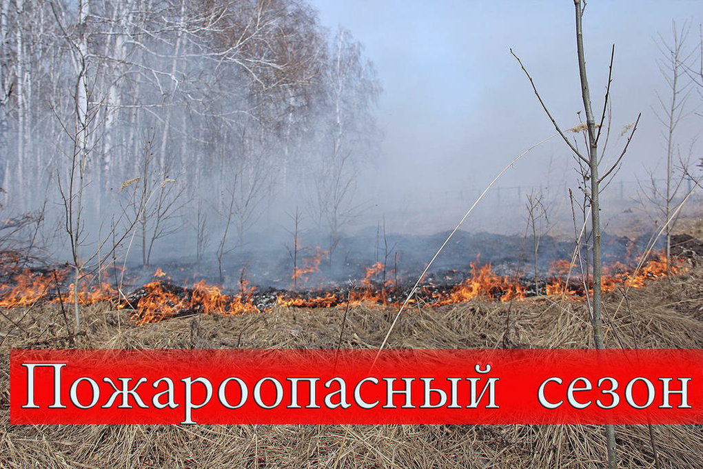 Начало пожароопасного сезона в лесах Челябинской области